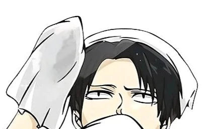 Attack on Titan 'Levi | Focus' Vinyl Car Peeker Sticker