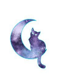 Cute 'Moon Cat | Sitting' Vinyl Car Sticker