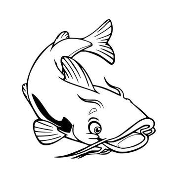 Catfish 'Look Up' Vinyl Car Sticker