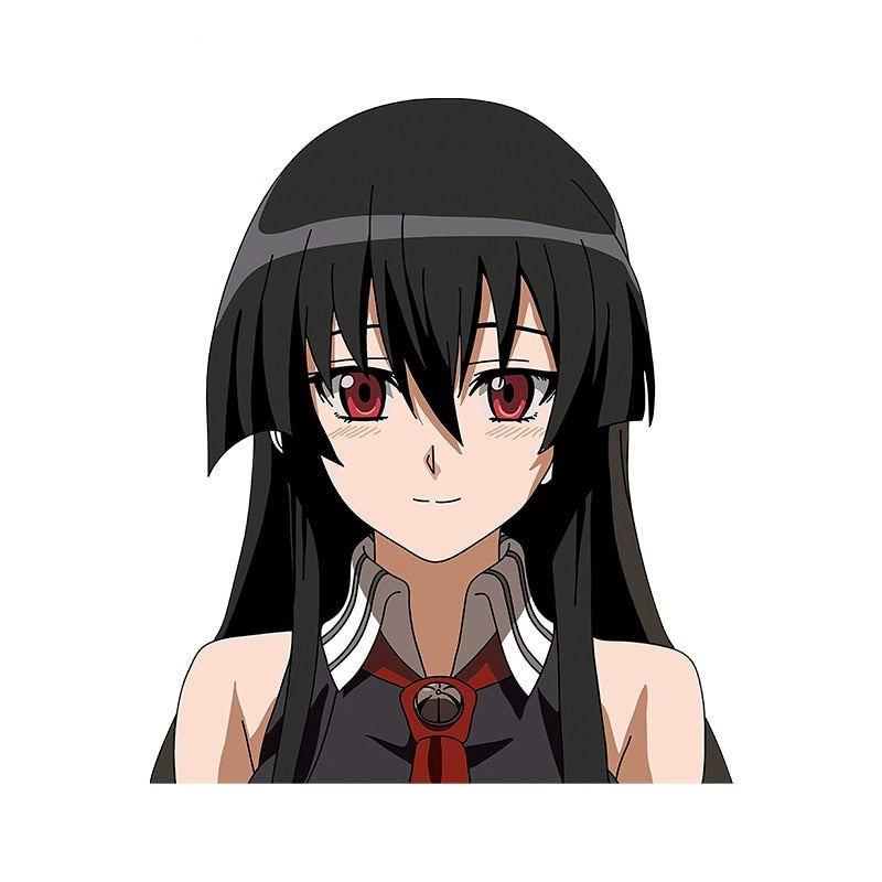 Akame ga Kill! 'Akame | Staring | Left' Vinyl Car Sticker