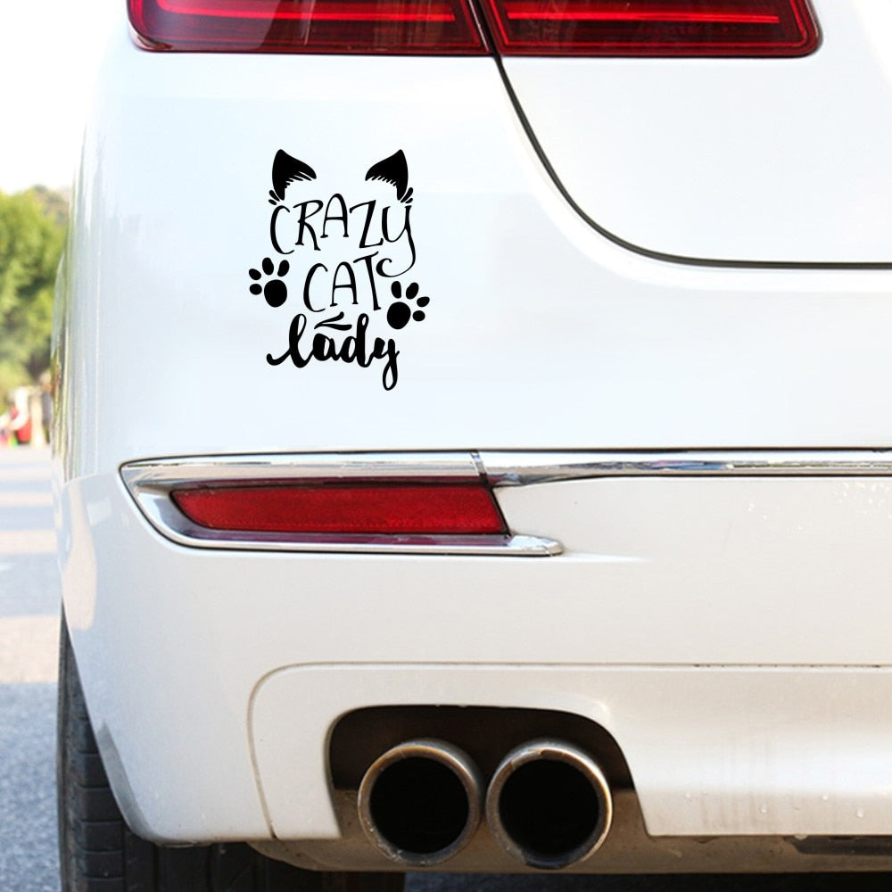 Cute 'Crazy Cat Lady | 2.0' Vinyl Car Sticker