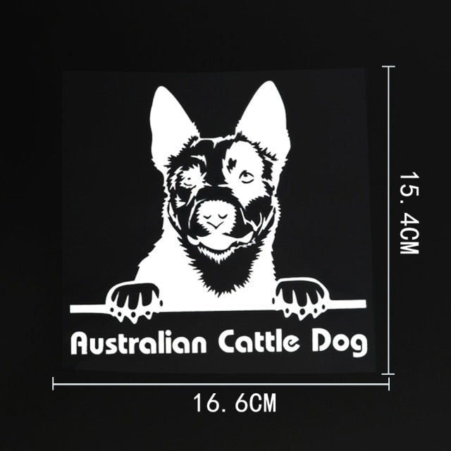 Australian Cattle Dog Vinyl Car Peeker Sticker