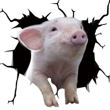 Cute Baby Pig Car Window Vinyl Sticker