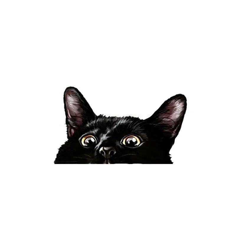 Black Cat 'Shocked' Vinyl Car Peeker Sticker