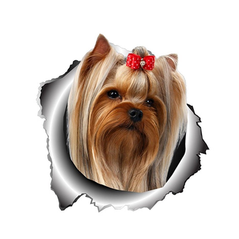 Ripped Torn Hole 'Yorkshire Terrier | Sad' Vinyl Car Peeker Sticker