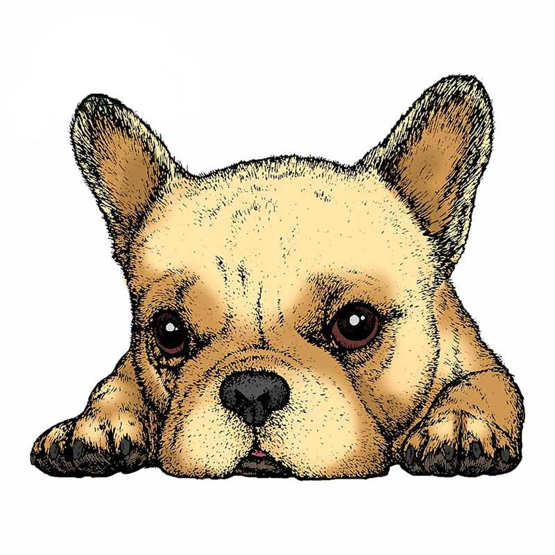 Pug 'Tired' Vinyl Car Peeker Sticker