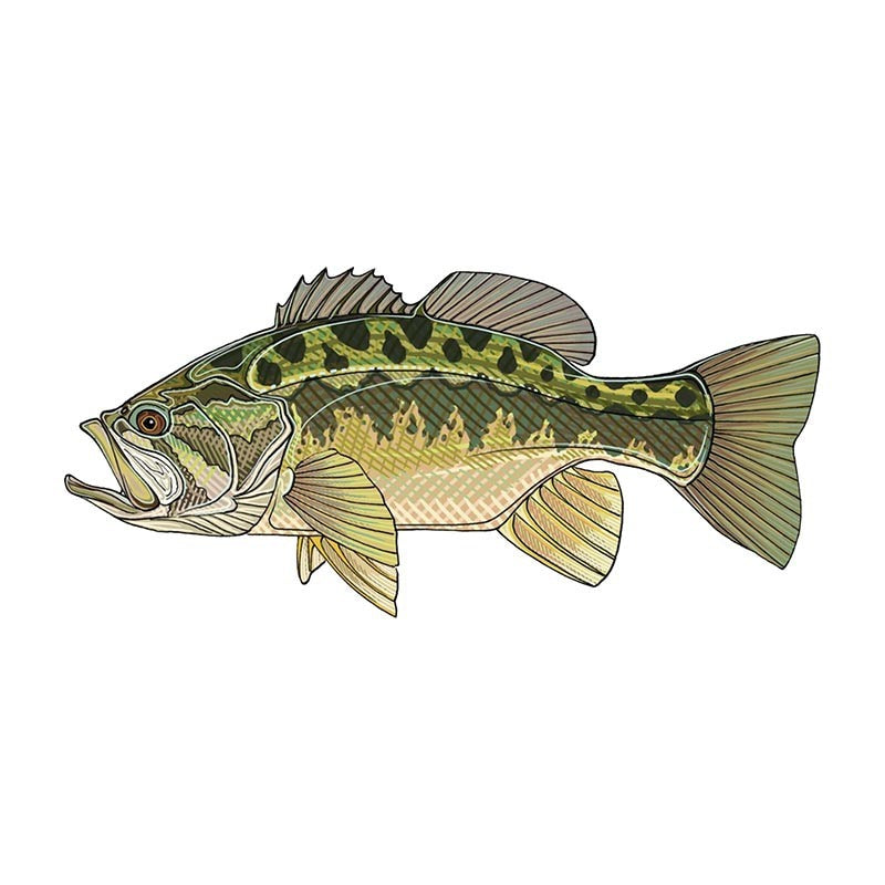 Fish 'Spotted Bass' Vinyl Car Sticker
