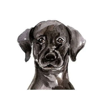 Black Labrador 'Serious' Vinyl Car Peeker Sticker