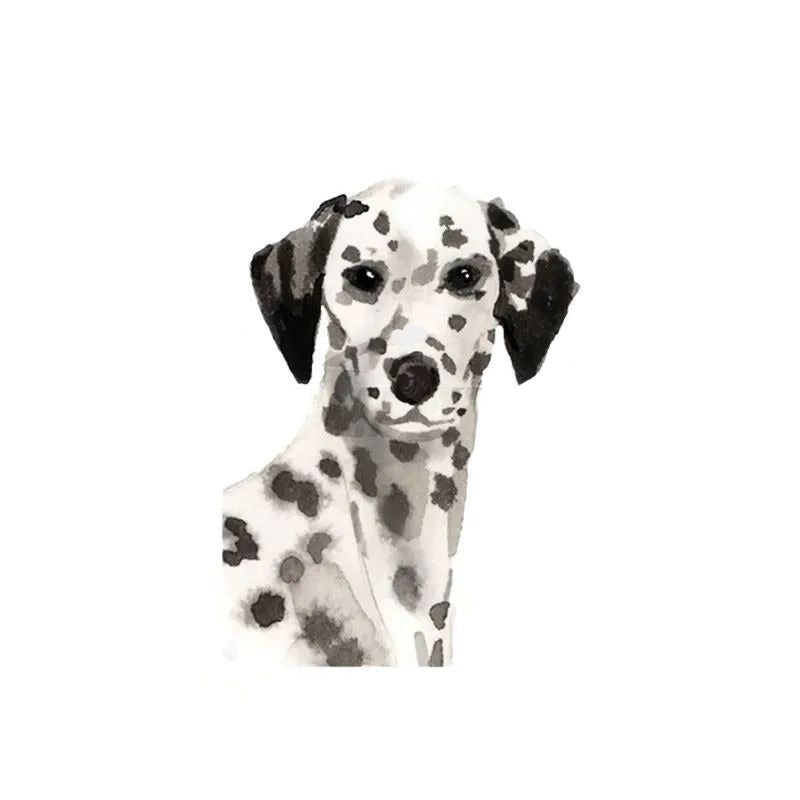 Dalmatian 'Serious' Vinyl Car Peeker Sticker