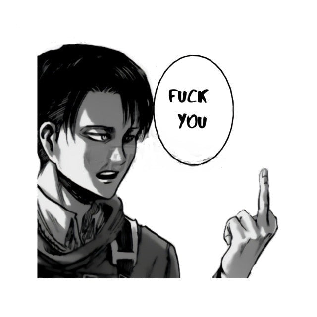 Attack on Titan 'Levi | F U' Vinyl Car Sticker