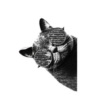 Cool Cat 'Wearing Sunglasses' Vinyl Car Peeker Sticker