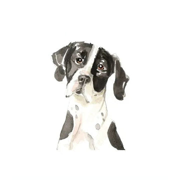 English Pointer Dog 'Sad Face' Vinyl Car Peeker Sticker