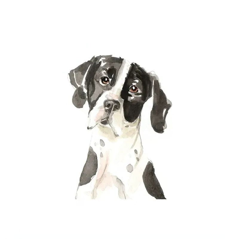 English Pointer Dog 'Sad Face' Vinyl Car Peeker Sticker