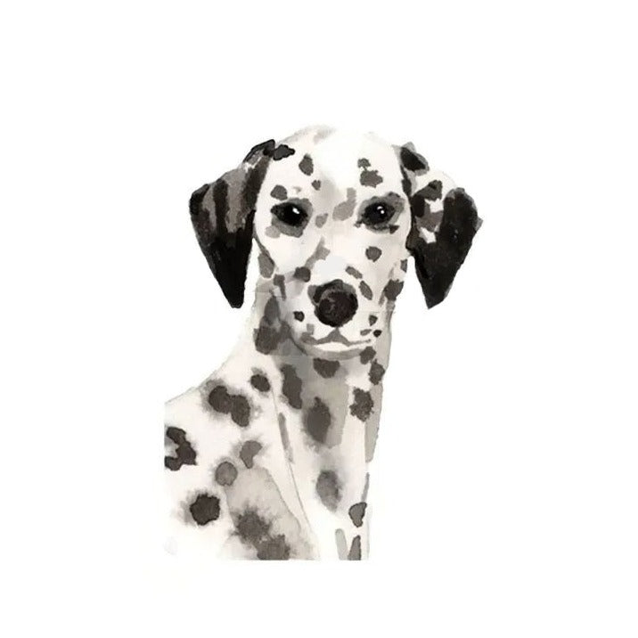 Dalmatian 'Serious' Vinyl Car Peeker Sticker