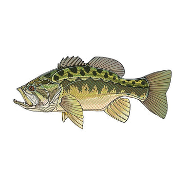 Fish 'Spotted Bass' Vinyl Car Sticker