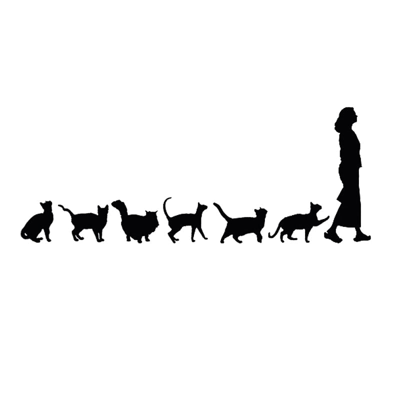 Cute 'Cats Follow A Woman | Line Up' Vinyl Car Sticker