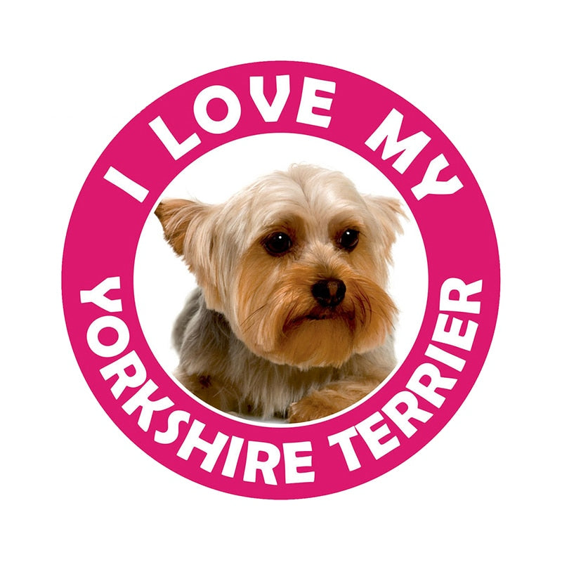 I Love My Yorkshire Terrier 'Looking' Vinyl Car Sticker