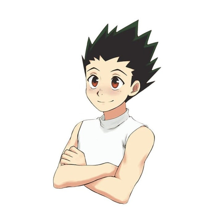 Hunter × Hunter 'Gon Freecss | Crossed Arms' Vinyl Car Sticker