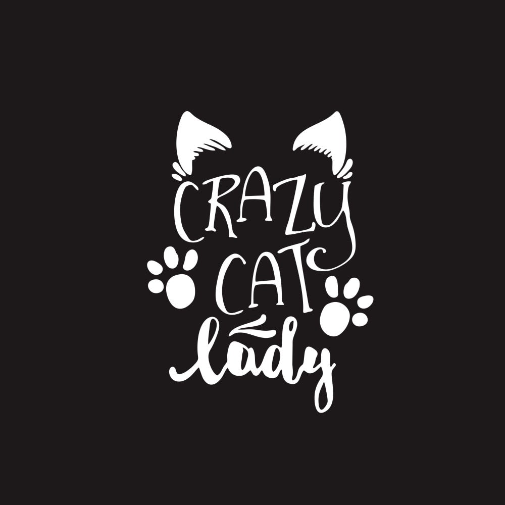 Cute 'Crazy Cat Lady | 2.0' Vinyl Car Sticker