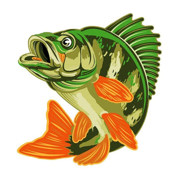 Fish 'Yellow Perch | Waiting' Vinyl Car Sticker