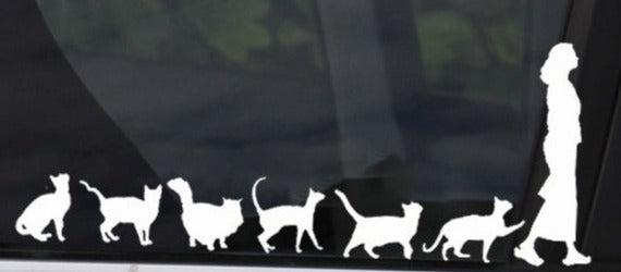 Cute 'Cats Follow A Woman | Line Up' Vinyl Car Sticker