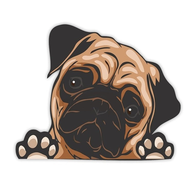 Pug 'Looking' Vinyl Car Peeker Sticker