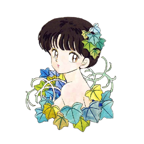 Ranma ½ 'Akane Tendo | Portrait' Vinyl Car Sticker