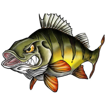 Fish 'Monster Perch | Angry' Vinyl Car Sticker