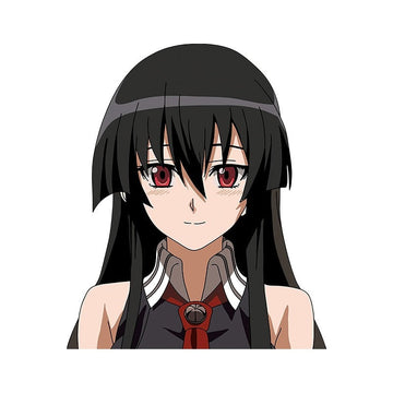 Akame ga Kill! 'Akame | Staring | Left' Vinyl Car Sticker