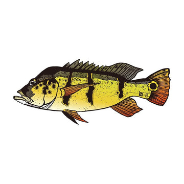 Fish 'Orinoco Peacock Bass' Vinyl Car Sticker