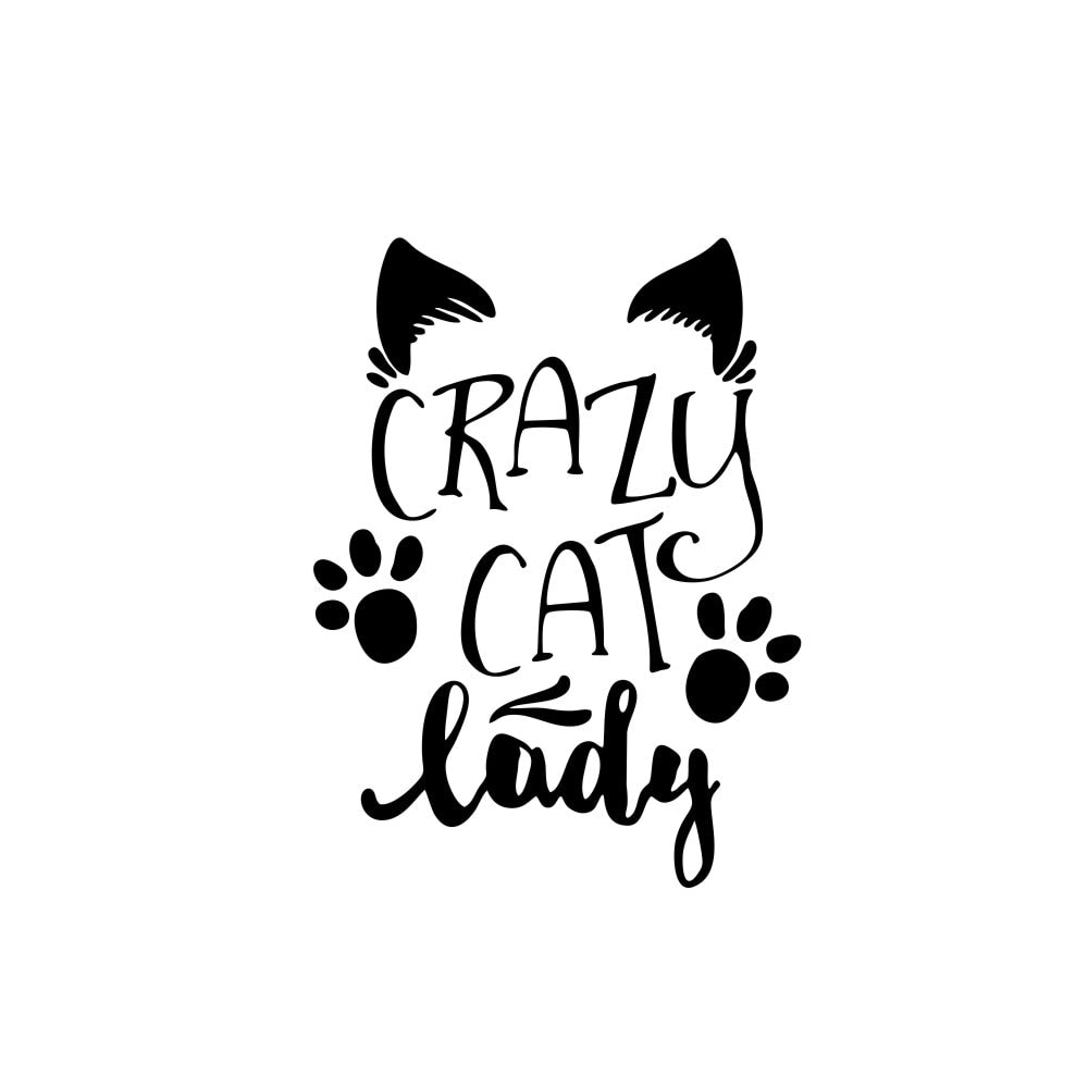 Cute 'Crazy Cat Lady | 2.0' Vinyl Car Sticker