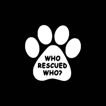 Dog Paw 'Who Rescued Who?' Vinyl Car Sticker
