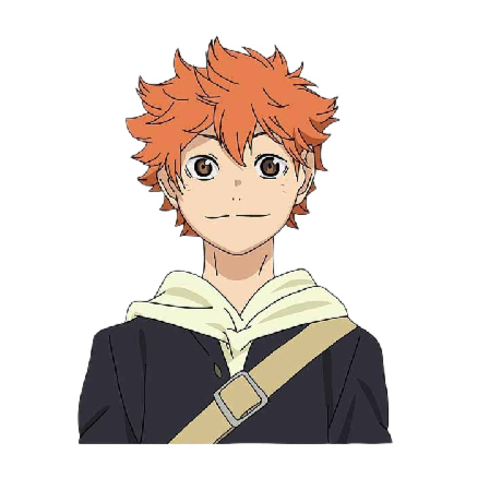 Haikyuu!! 'Shoyo Hinata' Vinyl Car Sticker