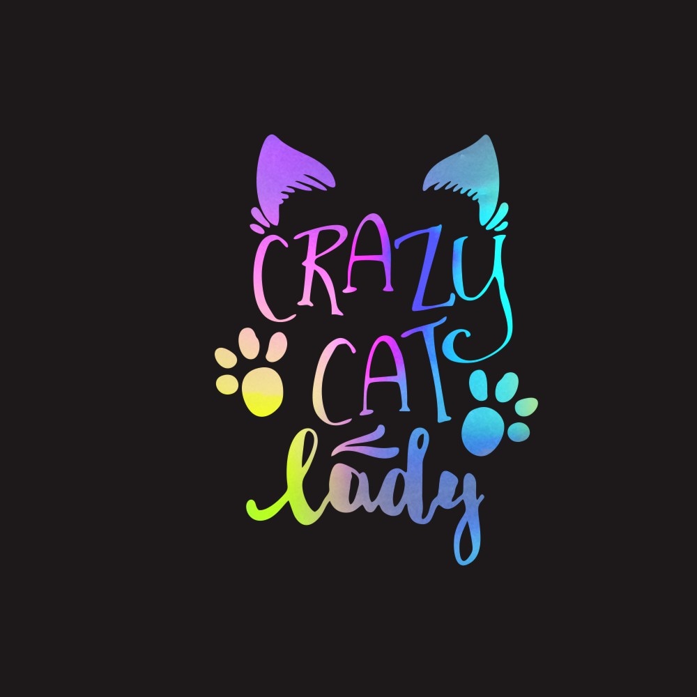 Cute 'Crazy Cat Lady | 2.0' Vinyl Car Sticker