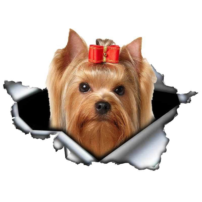 Ripped Torn Hole 'Yorkshire Terrier | Serious' Vinyl Car Peeker Sticker