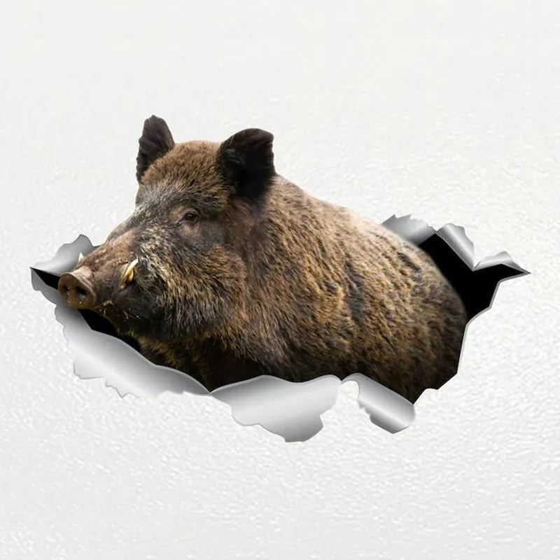 Ripped Torn Hole 'Wild Boar' Vinyl Car Peeker Sticker