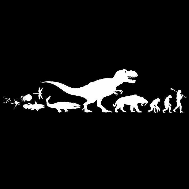 Cool 'Species Evolution' Vinyl Car Sticker