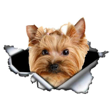 Ripped Torn Hole 'Yorkshire Terrier | Waiting' Vinyl Car Peeker Sticker