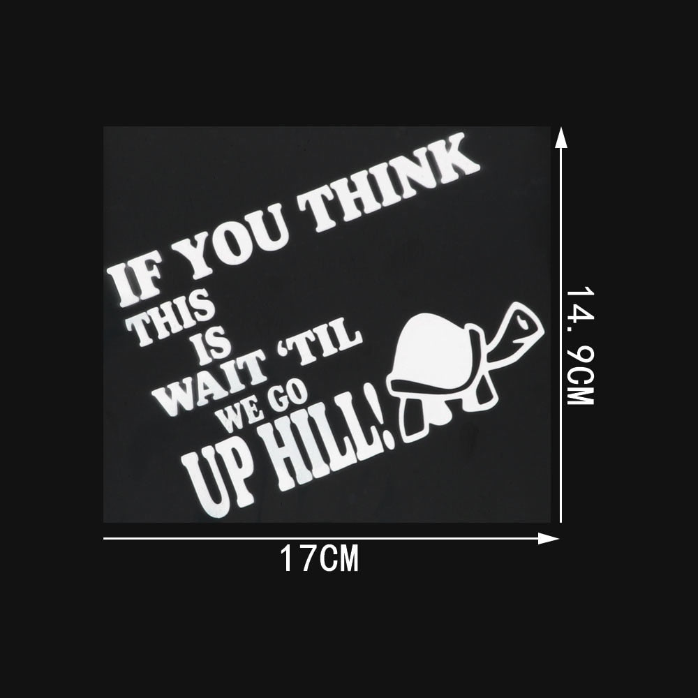 Turtle 'If You Think This Is - Wait 'Til We Go Up Hill' Vinyl Car Sticker