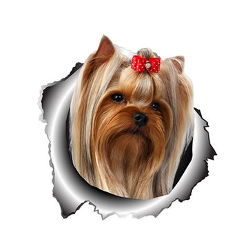 Ripped Torn Hole 'Yorkshire Terrier | Sad' Vinyl Car Peeker Sticker
