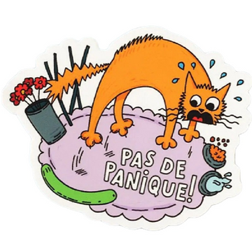 Funny Cat 'Pas De Panique!' Vinyl Car Sticker