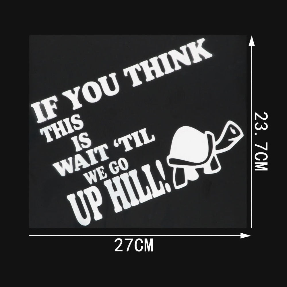 Turtle 'If You Think This Is - Wait 'Til We Go Up Hill' Vinyl Car Sticker