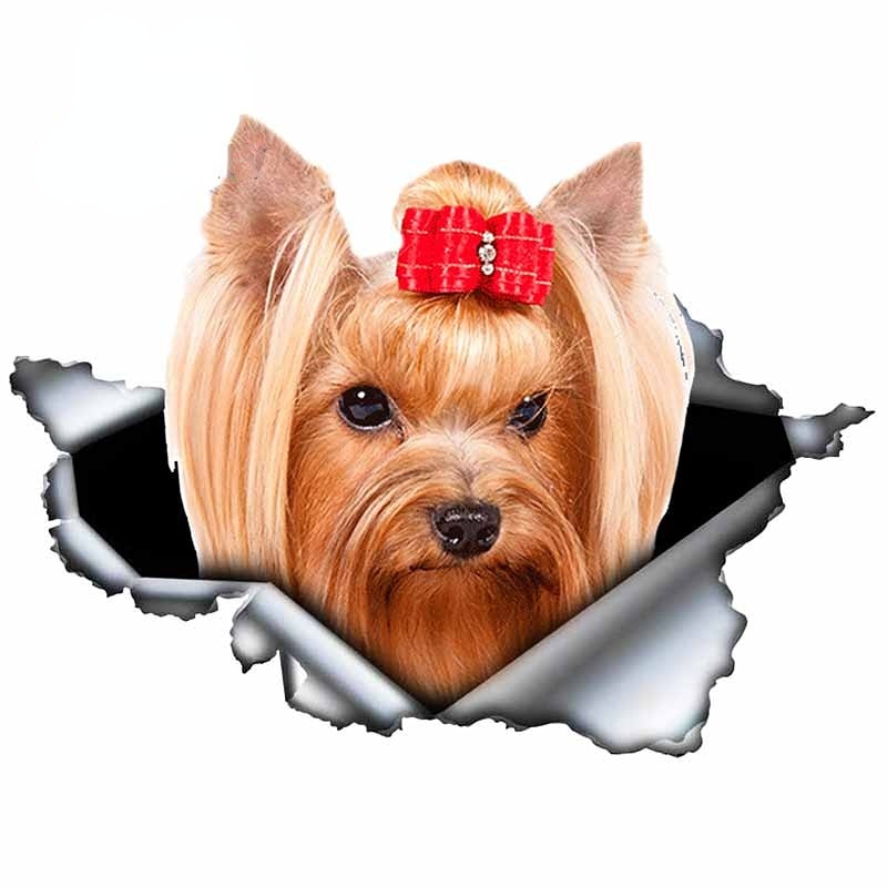 Ripped Torn Hole 'Yorkshire Terrier | Mad' Vinyl Car Peeker Sticker