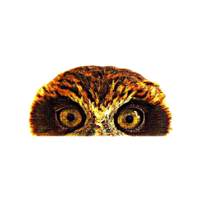 Owl 'Binocular Eyes' Vinyl Car Peeker Sticker