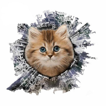Broken Glass 'Cute Cat' Car Window Vinyl Sticker