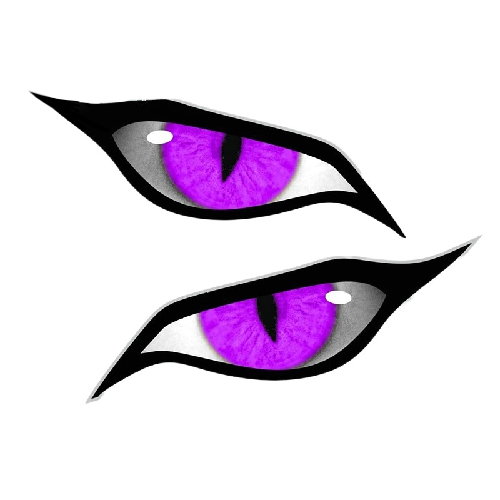 Evil Eyes 'Purple' Vinyl Car Sticker