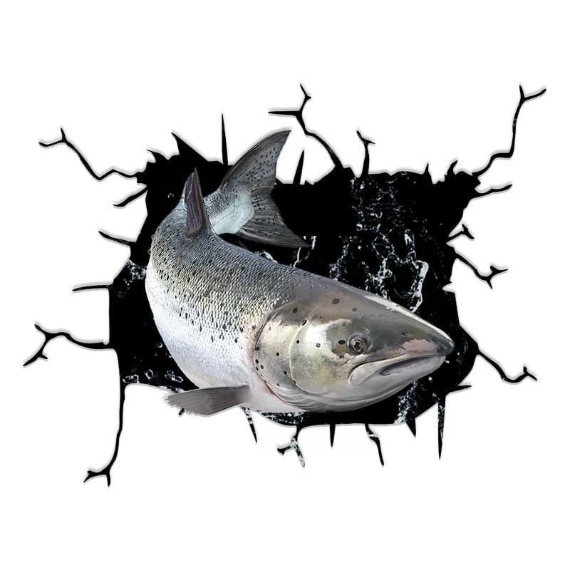 Fish 'Atlantic Salmon | Looking' Car Window Vinyl Sticker