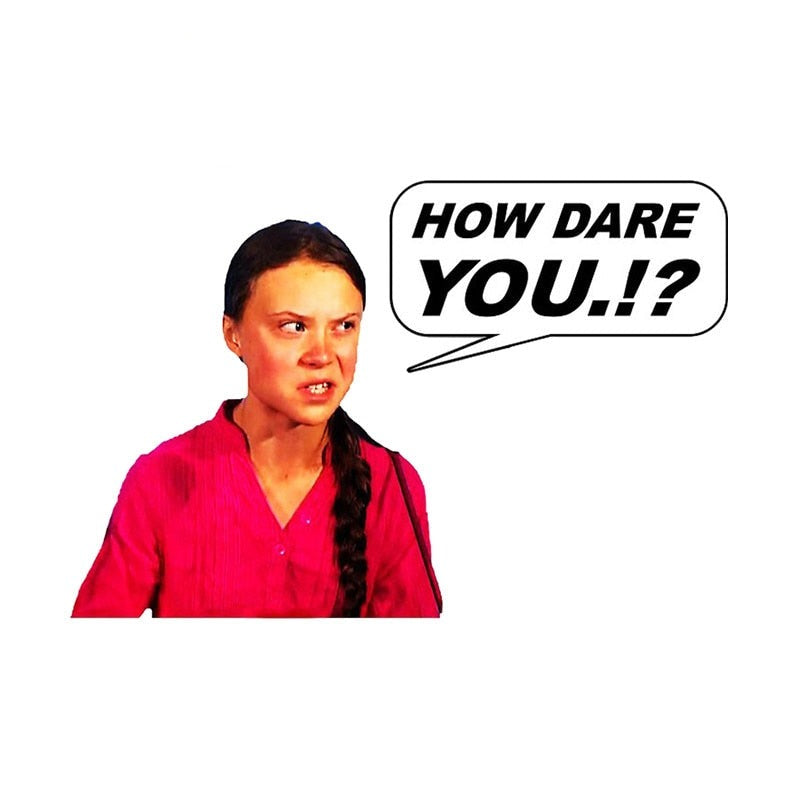 Greta Thunberg 'How Dare You.!?' Vinyl Car Sticker