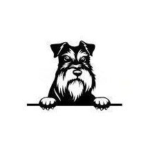 Miniature Schnauzer Dog 'Looking' Vinyl Car Peeker Sticker