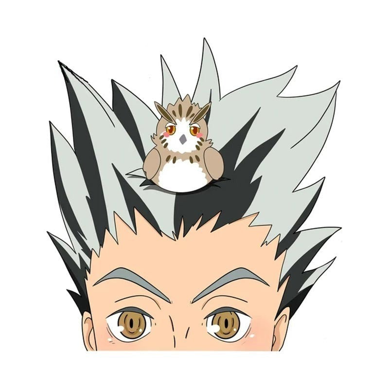 Haikyuu!! 'Koutarou And Owl | Surprised' Vinyl Car Peeker Sticker
